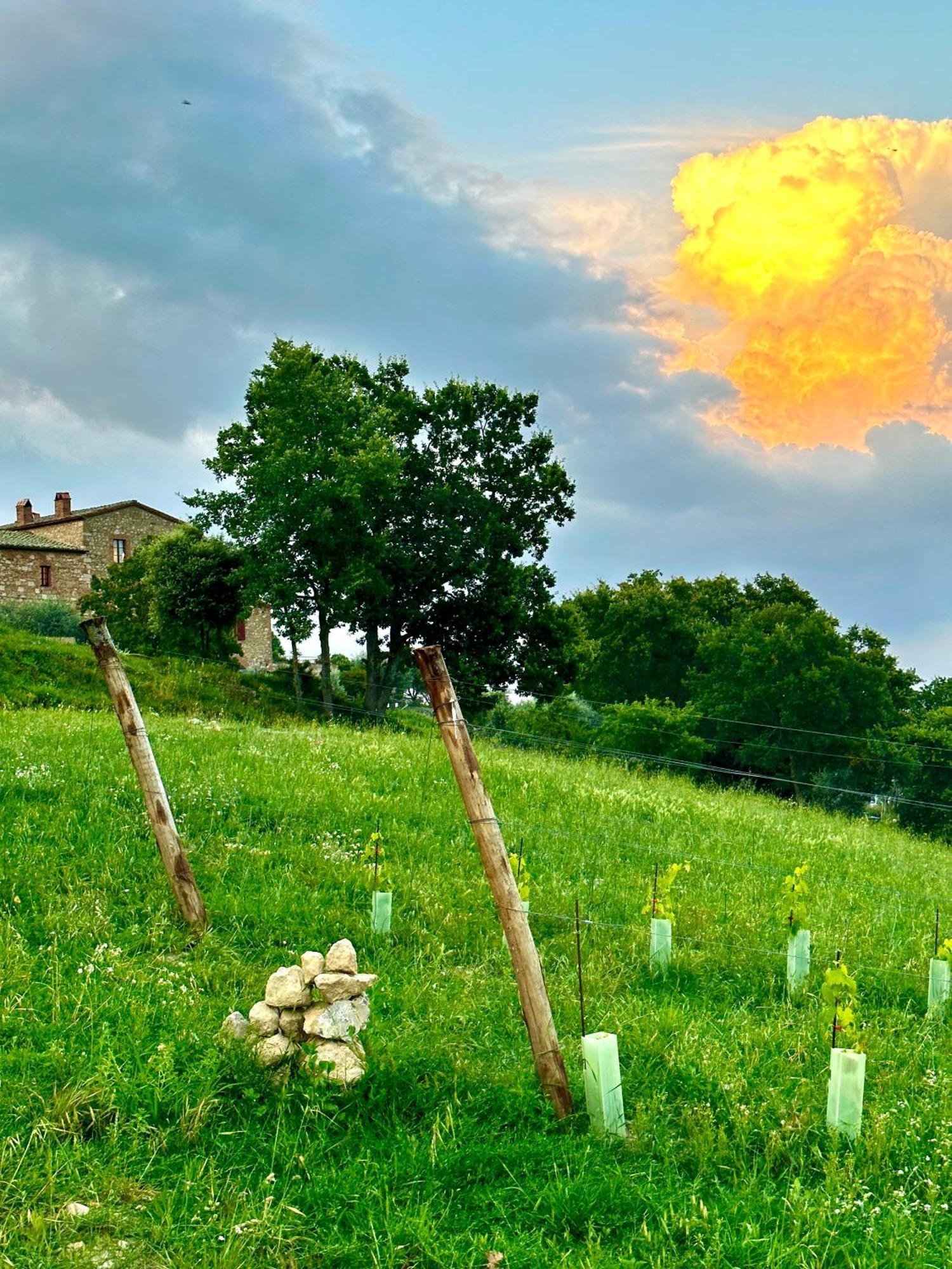 La Chiusa Montefollonico Esterno foto